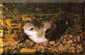 Oiseau.JPG (13939 octets)